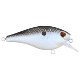 Berkley SquareBull Fishing Hard Bait
