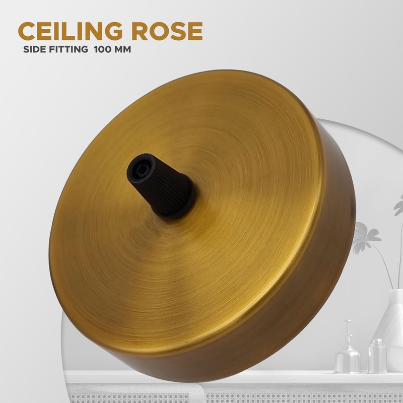 LEDSone 100mm Black Ceiling Rose Pendant Lamp with Cable Handle