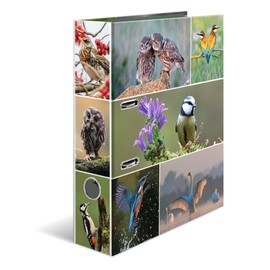HERMA Lever Arch File Animal Worlds with Home Birds Motif, A4, 70 mm Spine, with Inner Print, 1 Folder