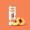 Happy Being Sparkling Nutrient-Rich Sampler Pack White Tea – Infused
