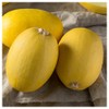 Everwilde Farms - 1 Lb Organic Vegetable Spaghetti Winter Squash