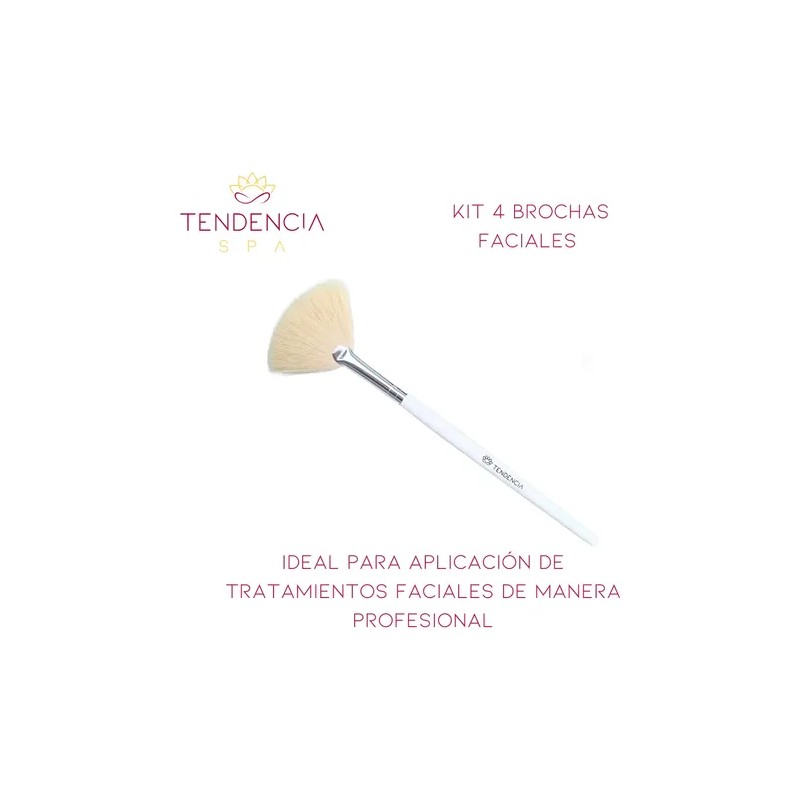 Brochas Faciales Abanico 4 Pzas Cerdas Naturales