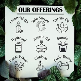 Deve Herbes Aceite de macadamia puro (macadamia ternifolia) de grado terapéutico natural prensado en frío, 10 ml