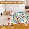 ROTESONNE Interactive Cat Toys, Cat Ball Fast Rolling in Pouch,