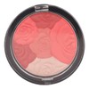 Sedell Multi Blush Powder-03, Multicolor, 8 g