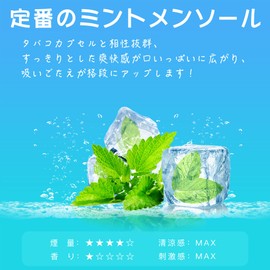 Ploom Tech Plus Compatible Mint Menthole Pack of 30 with 2 Compatible Flavor Cartridges Tech + Wiz Compatible, Real Flavor, Smoking Assistance, Leak Prevention, DBL M4 Type