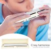 Professional Mouthorgan Harmonica Diatonic Harp C Key Stainless Steel Cover