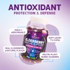 Immune Support Gummies with Sambucus Black Elderberry Extract - Extra
