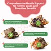 Snout and Shell Hermit Crab Probiotic - 4 oz -
