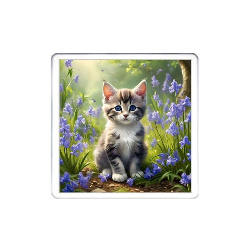 Kitten Coaster Set. 4 different Kitty Cat Pictures on 10cm