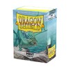 Dragon Shield | Standard Size Card Matte Sleeves | 100