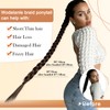 Wodelanle Long Braided Ponytail Extension with Hair Tie Dark Brown