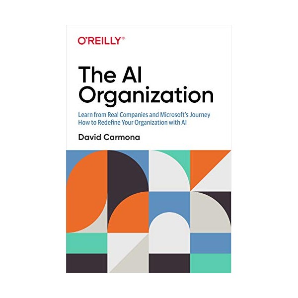 The AI Organization: Learn from Real Companies and Microsoftâs Journey