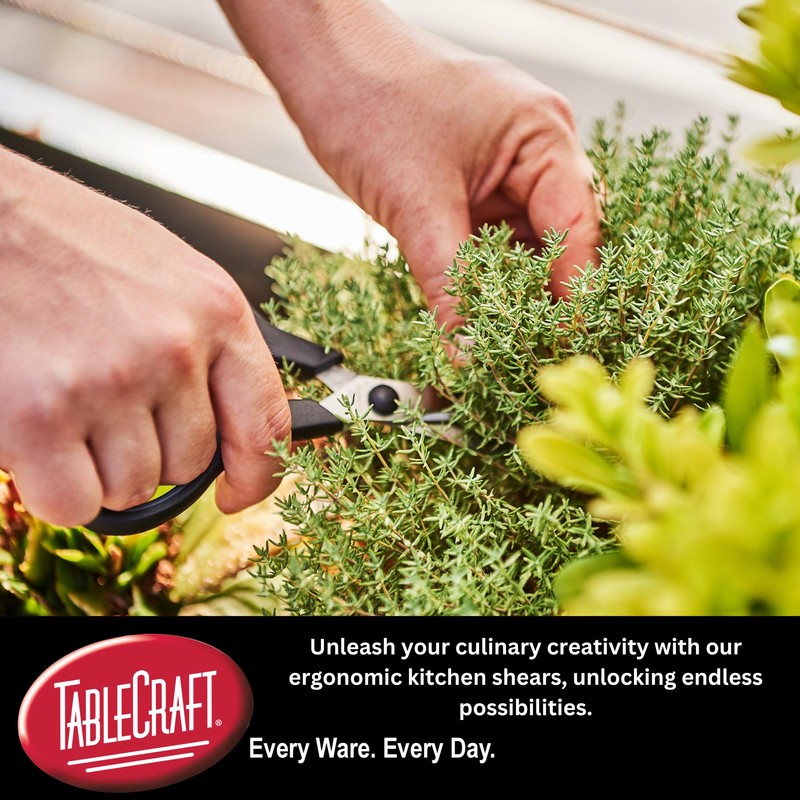 TableCraft Products 10995 Kitchen Shears, One size, Silver