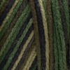 RED Heart Super Saver Yarn, Camouflage Print