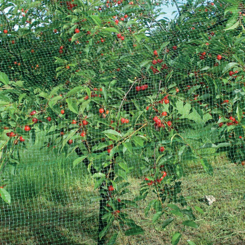 Tenax Ortoflex 5 x 8 m Green Bird Protection Net