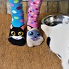 United Oddsocks- Catwalk - Box of 6 Colourful Mix &