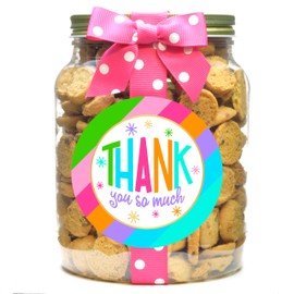 Nam's Bits Chocolate Chip Cookies - Thank You Half Gallon Jar - BSTY