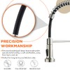 Kitchen Faucet, Kitchen Faucets with Pull Down Sprayer Sus304 Stainless