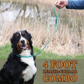 DogBone Slip Lead for Small, Medium, & Large Dogs – No Pull Lasso Style Leash & Collar for Control During Training - Waterproof & Chew Resistant Biothane Alternative - Great Size for Hiking & Travel