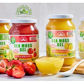 EverSmith Organics EverSmith Organics - Wildcrafted Irish Sea Moss Gel | Made in USA | Rich in Vitamins & Minerals | Sea Moss Gel Raw | Nutritional Supplement | Mango Pineapple (16 oz)