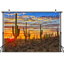 Desert Scenery Backdrop Cactus Photography Backdrops Desert Sunset Photo Backdrop Tourist Scenery Photo Backdrop Curtains (9X6FT)
