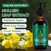 Mullein Leaf Liquid Drops,Mullein Drops,Mullein Leaf Extract Drops,Mullein Herbal Supplements