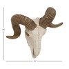 Deco 79 Polystone Sheep Home Wall Decor Skull Wall Sculpture,