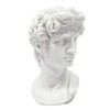 Vittoria Collection Classic Head Bust of David by Michelangelo Statue