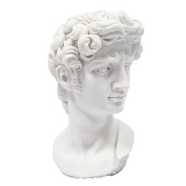 Vittoria Collection Classic Head Bust of David by Michelangelo Statue Made in Italy Home Decoration