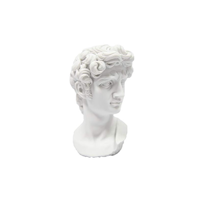 Vittoria Collection Classic Head Bust of David by Michelangelo Statue