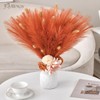 Faylifeway 𝟱𝟬pcs Orange Pampas Grass 𝟭𝟳in, Faux Pampas Grass Home