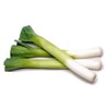 CEMEHA SEEDS - Seeds Giant Leek Onion Non GMO Vegetable