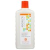 Andalou Naturals Argan Oil & Shea Moisture Rich Shampoo, 11.5