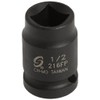 SUNEX TOOLS 216fp 1/2-Inch Drive 1/2-Inch Female Pipe Plug Socket