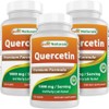 Fatigue Rhinitis Nutrients Best Quercetin 1000mg Provides 120 Pieces (120 Pieces (3 Packs)), 120 / 피로 비염 영양제 건 최고의 케르세틴 1000mg 120개 제공(120개들이(3팩)), 120