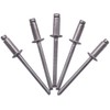 SKIR'CO Pack of 50 Stainless Steel Blind Rivets 4.0 x