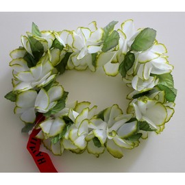 Rainview Creations Hawaii Floral Headband-haku Lei Elastic Hawaiian Haku Leis Headdress. Color White/green