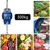 Digital Crane Scale, 300 kg 660 lbs Electronic Hanging Scale,