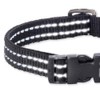 Pet Passion Adjustable Reflective Dog Pet Collar for Small, Medium