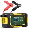 EXTRACTME 12V 6A Battery Charger & Smart Maintainer - Auto