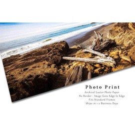 Pacific Northwest Photography Print (Not Framed) Picture of Driftwood Logs on Beach in Olympic National Park Washington Coastal Wall Art Nature Decor (11" x 14")