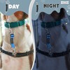 MACEDO Pair of Safety Clips for Dog Collars, Nylon, Reflective