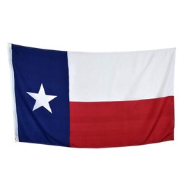 Ramsons Imports 3' x 5' State of Texas Polyester Flag