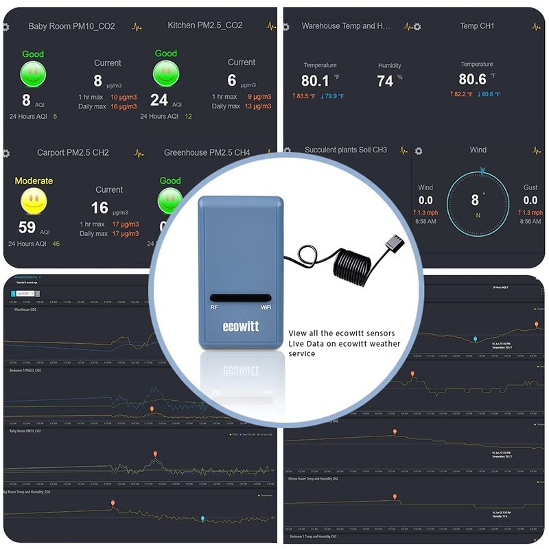 Ecowitt GW1100 Wi-Fi Weather Station Sensor Gateway with Temperature, Humidity