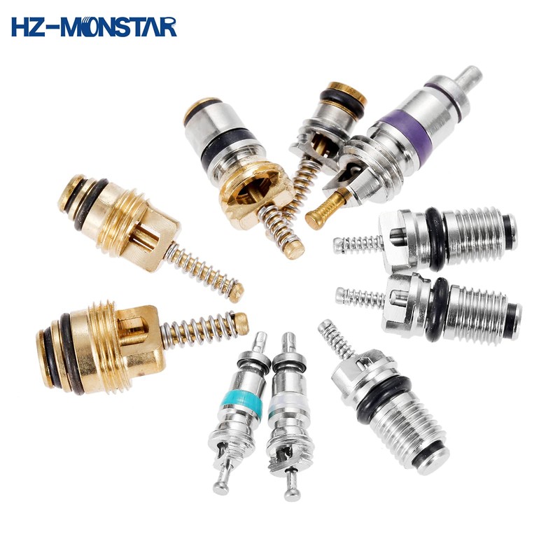 HZ-MONSTAR Valve Core Kit, 100 Pieces, R12, R134a, R410, R32,