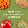 Amy’s, Vegan Lentil Vegetable Soup, Gluten Free, Made With Organic