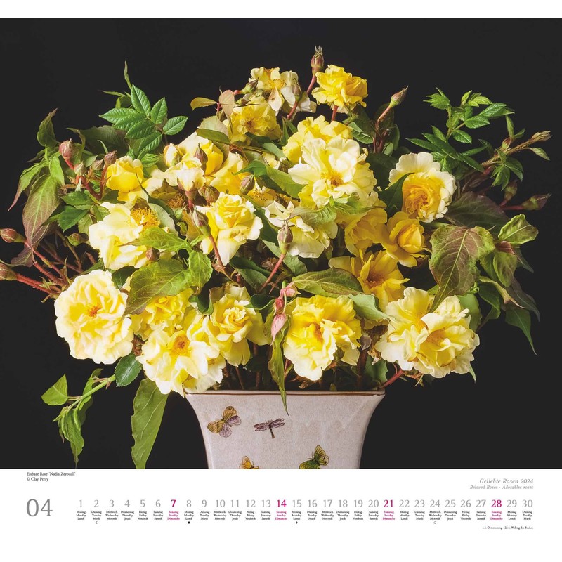 Kal. 2024 ...geliebte Rosen