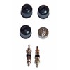 Valve and Valve Caps Set of 6 Pieces