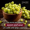 Giuseppe Giusti Italian Crema Balsamic Glaze Vinegar Reduction of Modena